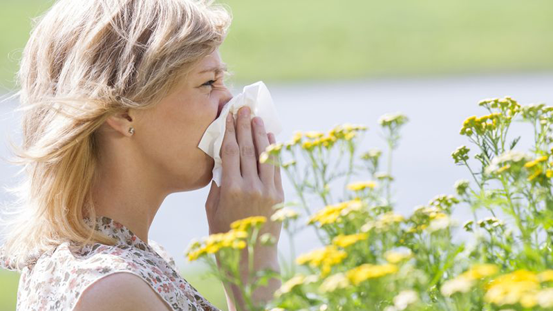 allergie.png allergie.png