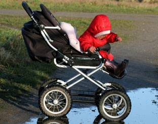 baby_buggy_312.jpg