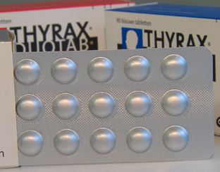 02-thyrax_312.jpg 02-thyrax_312.jpg