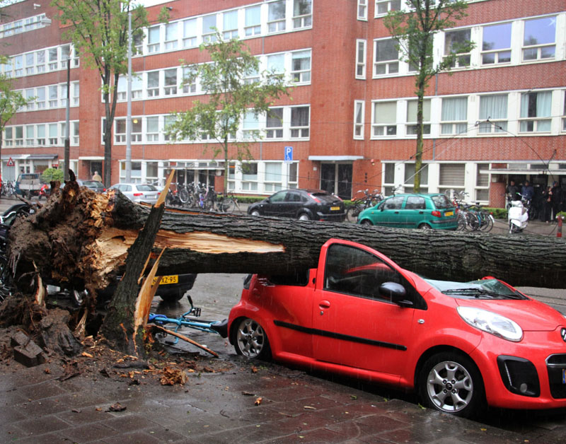 stormschade_amsterdam800.jpg