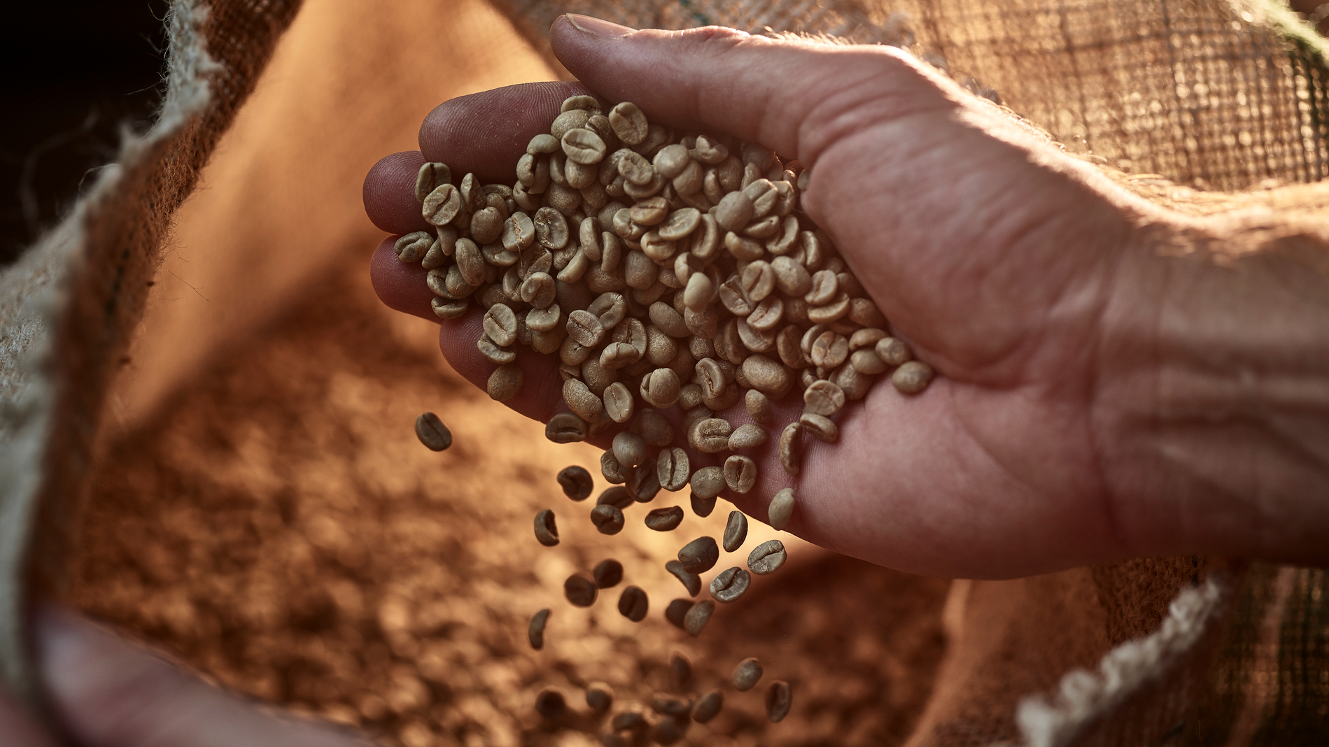 koffie.jpg koffie.jpg