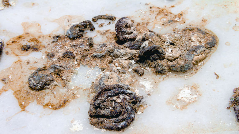 05062020 duivenpoep.jpg