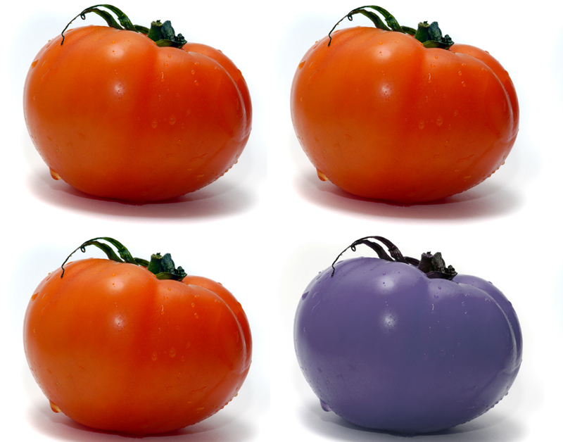 gengewas_gmo_ggo_800_01.jpg gengewas_gmo_ggo_800_01.jpg