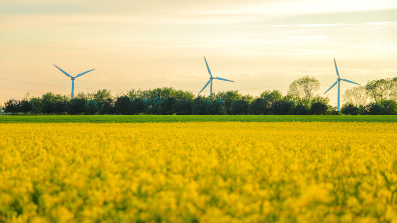 klimaatakkoord-130302912.jpg klimaatakkoord-130302912.jpg