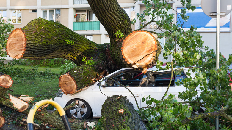 Stormschade-7-7-2020.jpg Stormschade-7-7-2020.jpg
