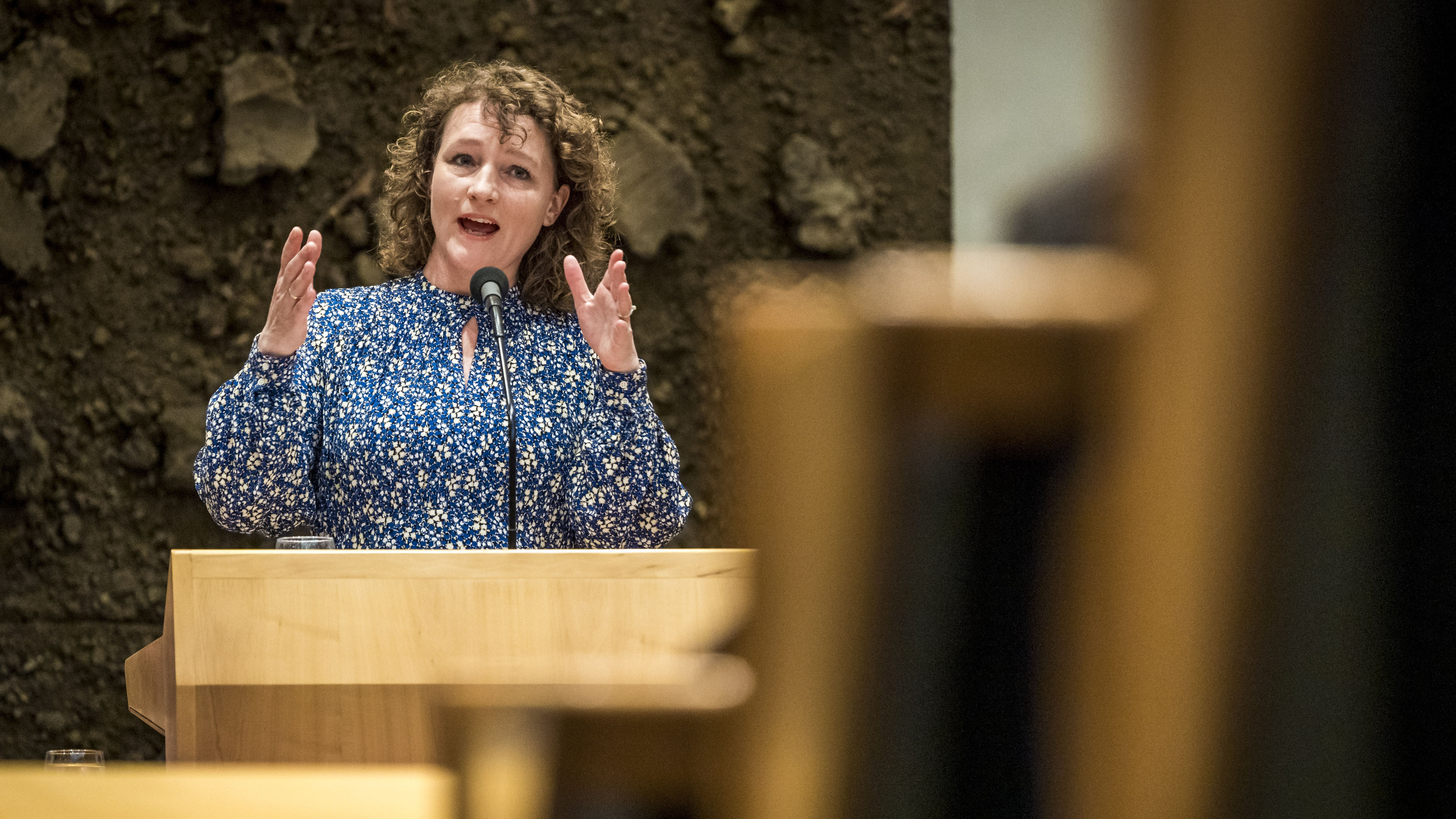 Renske_Leijten_oktober_2022.jpg Renske_Leijten_oktober_2022.jpg