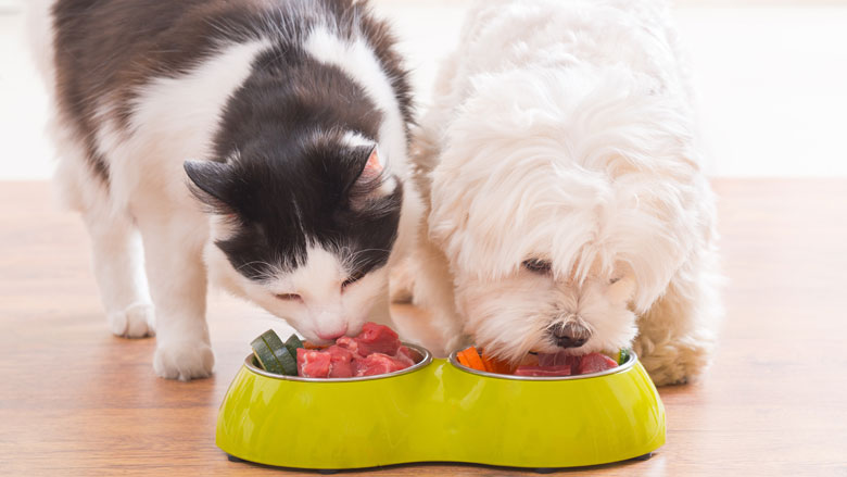 dieren-eten-persbericht-03-09-2018-780.jpg dieren-eten-persbericht-03-09-2018-780.jpg