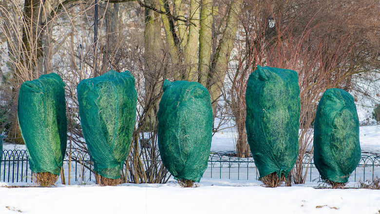 021120 winterklaar tuin.jpg 021120 winterklaar tuin.jpg