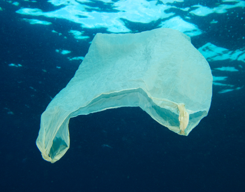 plastic_tas_zee_water_800x628.jpg plastic_tas_zee_water_800x628.jpg