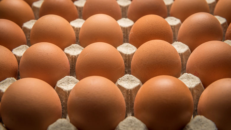 fipronilzaak-afronden081717.jpg fipronilzaak-afronden081717.jpg