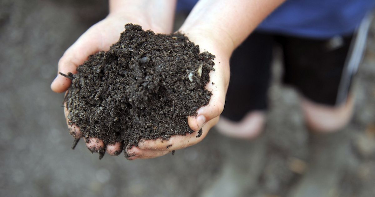 EenVandaag: GFT-compost vervuild met zware metalen, PFAS en pesticiden ...