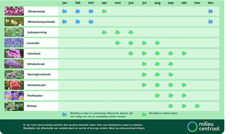 000 kalender bijenbloemen milieucentraal.png 000 kalender bijenbloemen milieucentraal.png