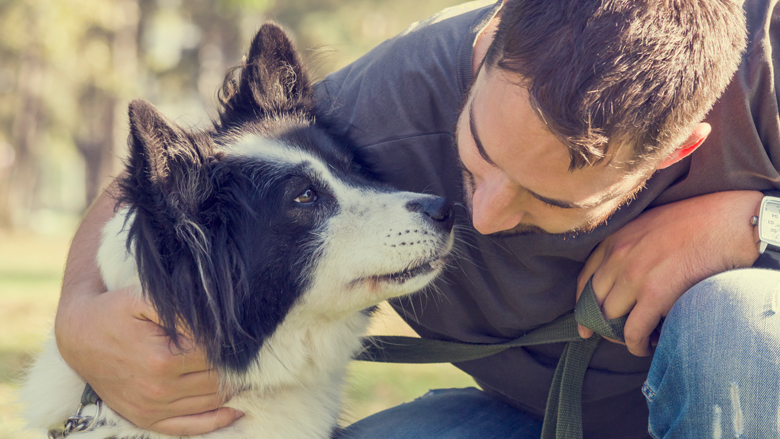 honden-fokken-09012019.jpg honden-fokken-09012019.jpg