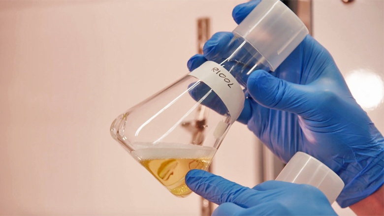 watzijnbacteriofagen_still.jpg watzijnbacteriofagen_still.jpg