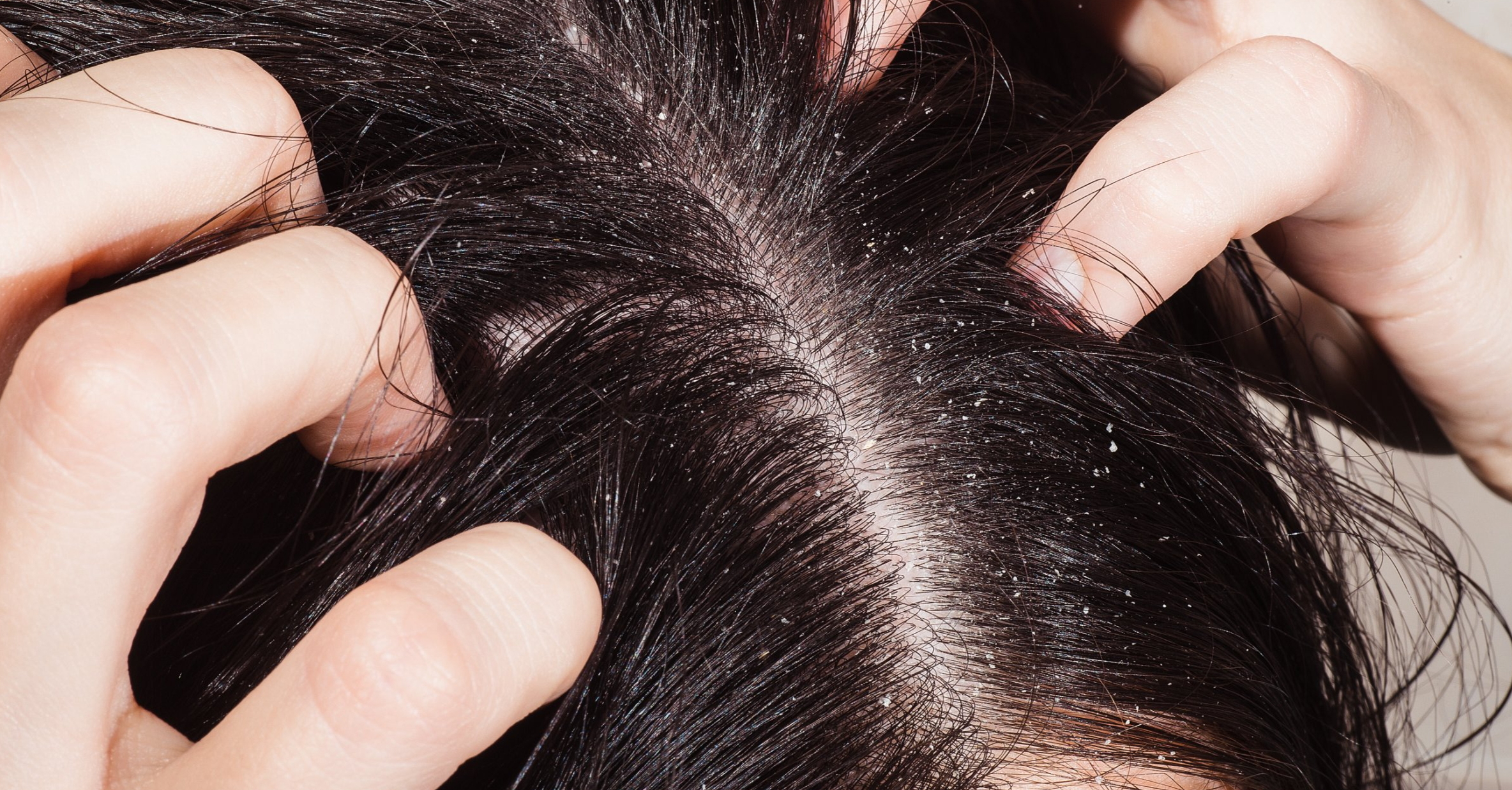 roos_haar_hoe_weg_2022.png roos_haar_hoe_weg_2022.png