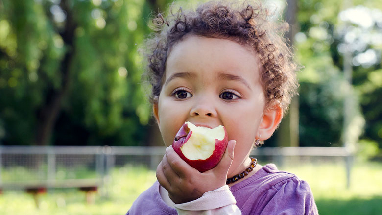 school-fruit-15-03-2018-780.jpg school-fruit-15-03-2018-780.jpg