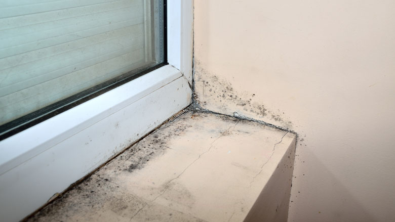schimmel-huis-gezondheid-21032019.jpg schimmel-huis-gezondheid-21032019.jpg