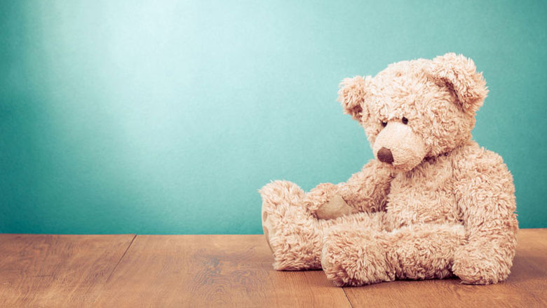 teddybeer-camera-09-08-2019.jpg teddybeer-camera-09-08-2019.jpg