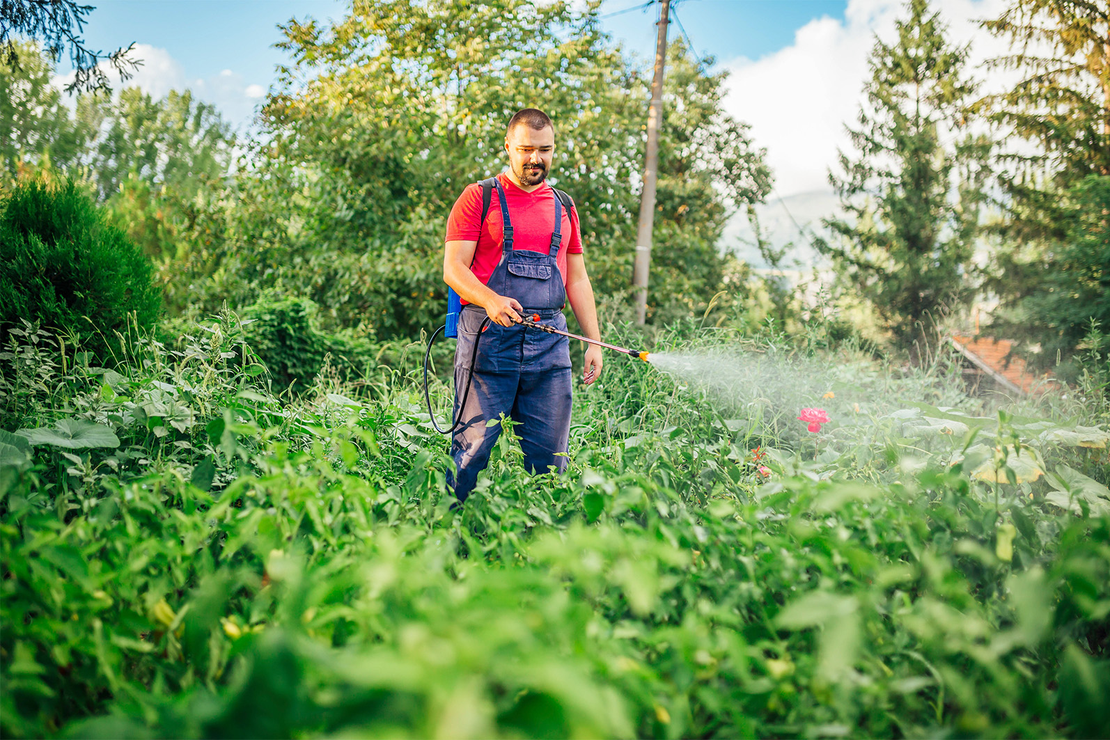 Tuin Werken Met Pesticide