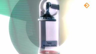 bb.20080519.mov_4.jpg