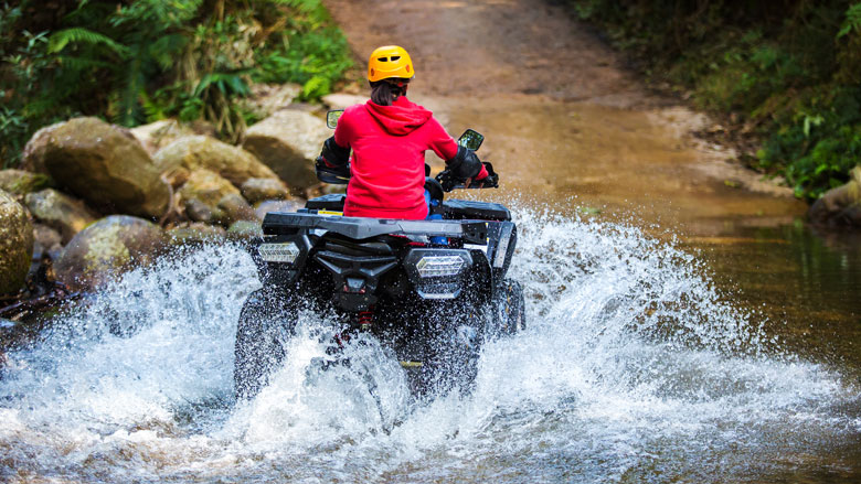 quad-kifid-18-09-2019.jpg quad-kifid-18-09-2019.jpg
