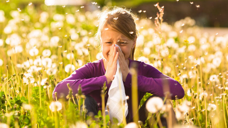 hooikoortsniezenpollen.jpg hooikoortsniezenpollen.jpg