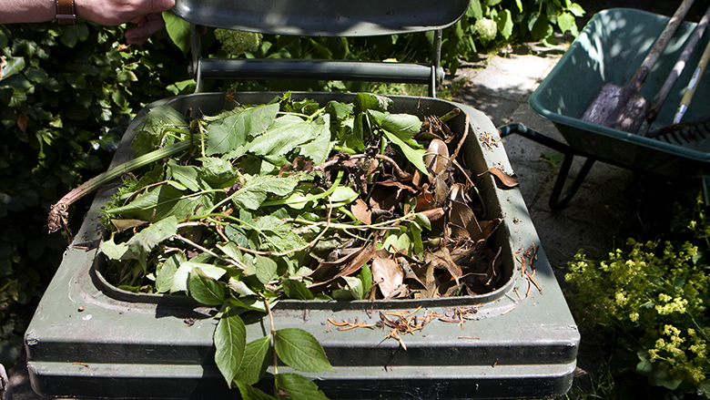 130422 kliko site.jpg 130422 kliko site.jpg