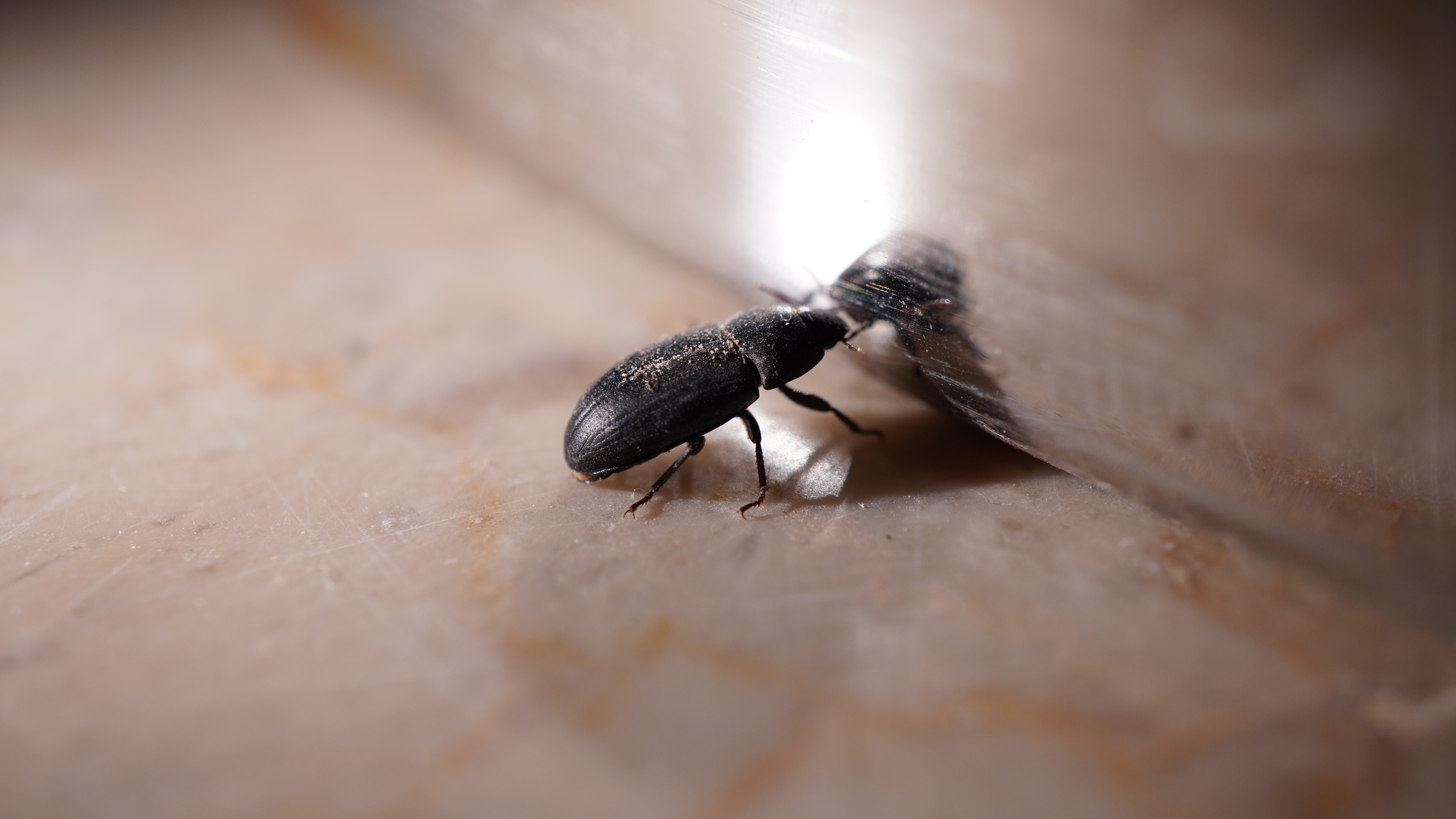 Getty Images 1759977080