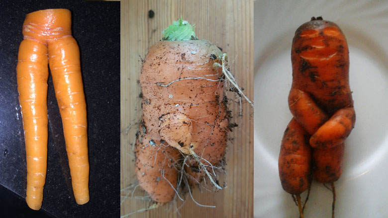 worteltjes_suzan_corry-bailey_jan-pauline-sterrenburg-780.jpg