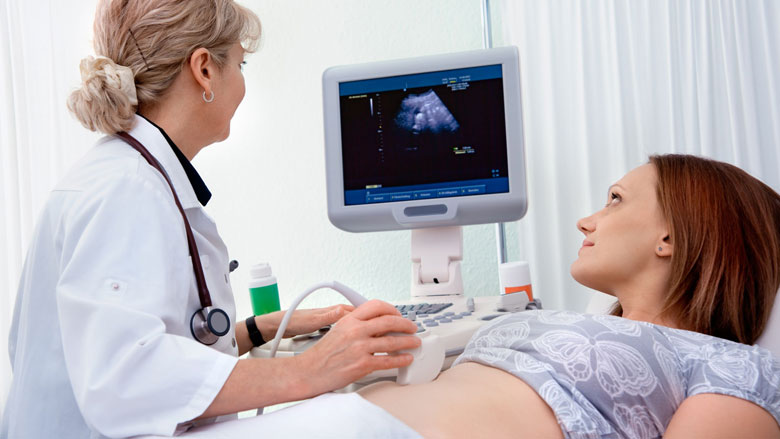 gezondheidsraadembryos780.jpg gezondheidsraadembryos780.jpg