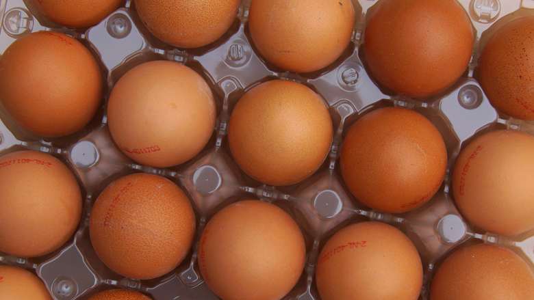 fipronil-eieren-28-05-2018.jpg fipronil-eieren-28-05-2018.jpg