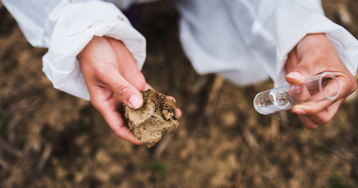 Grondeigenaren opnieuw doelwit van dubieuze verkoopdeals: ‘Leek eindelijk een uitweg’