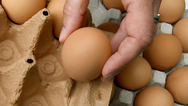 eieren-fipronil-09-09-2019.jpg eieren-fipronil-09-09-2019.jpg