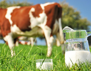 melk_800.jpg melk_800.jpg