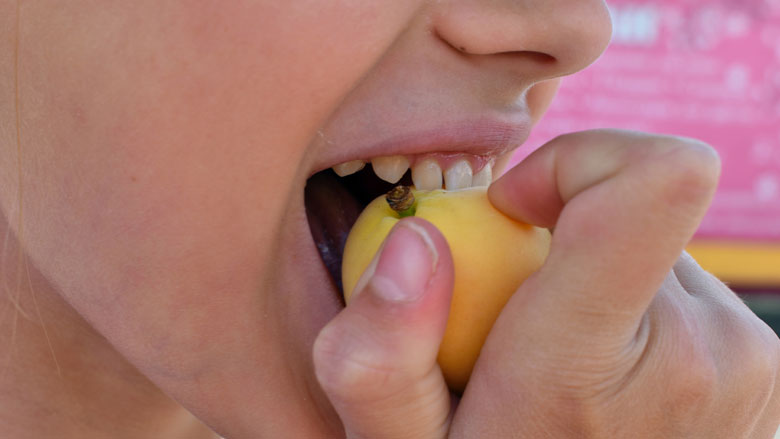 schoollunch-gezond-15022019.jpg schoollunch-gezond-15022019.jpg