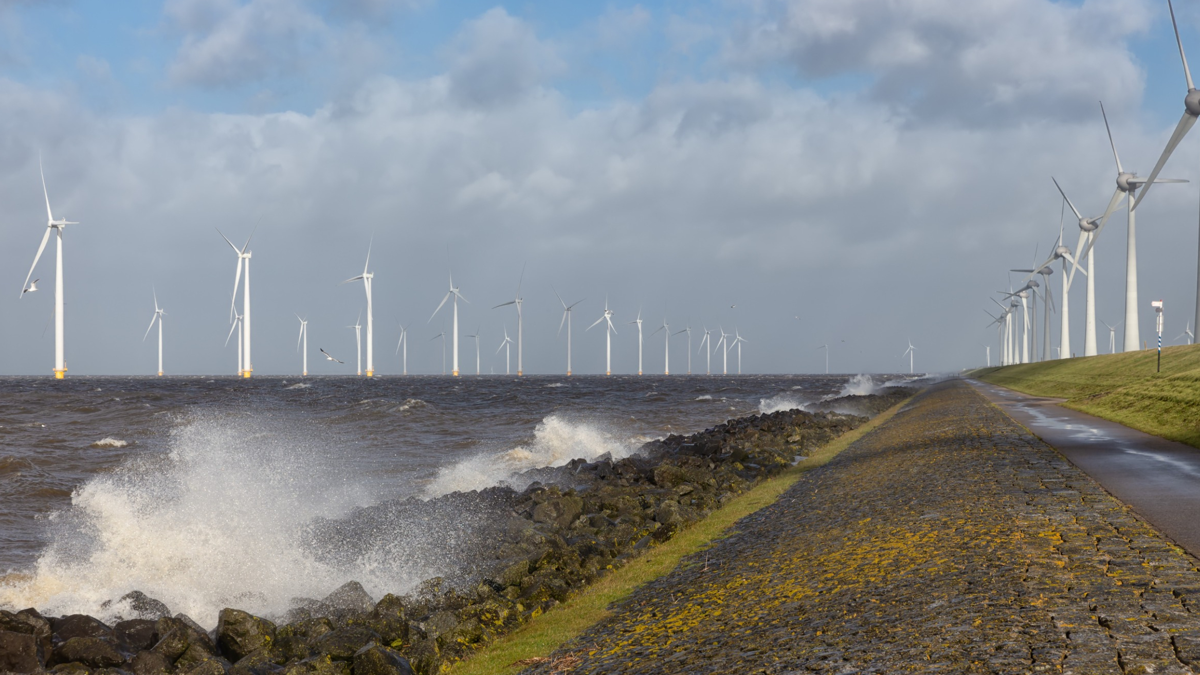 harde_wind_nederland_2023.jpg