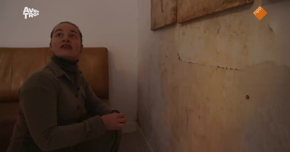 Fragment: Slecht onderhoud in de hofjes van de Schilderswijk